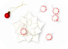 http://www.ablackbirdsepiphany.co.uk/2016/11/christmas-poinsettia-bowl-craft.html