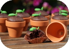 http://www.ablackbirdsepiphany.co.uk/2014/05/spring-seedling-cupcakes-tutorial.html