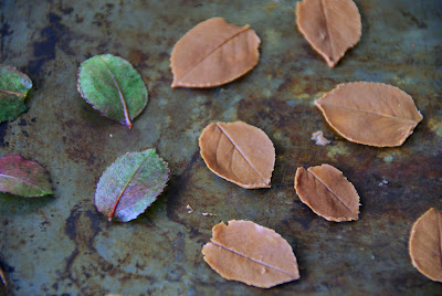 http://www.ablackbirdsepiphany.co.uk/2015/06/chocolate-leaves.html